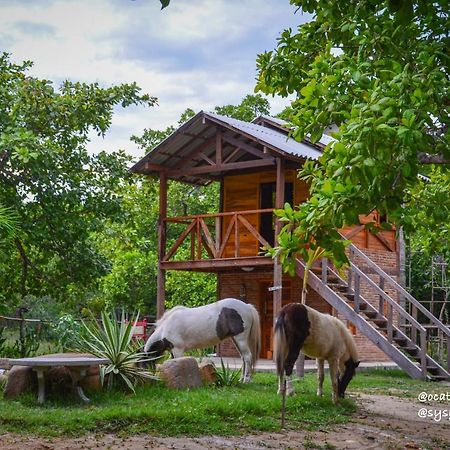 Oca Tocarijus Eco Resort Piracuruca Eksteriør billede